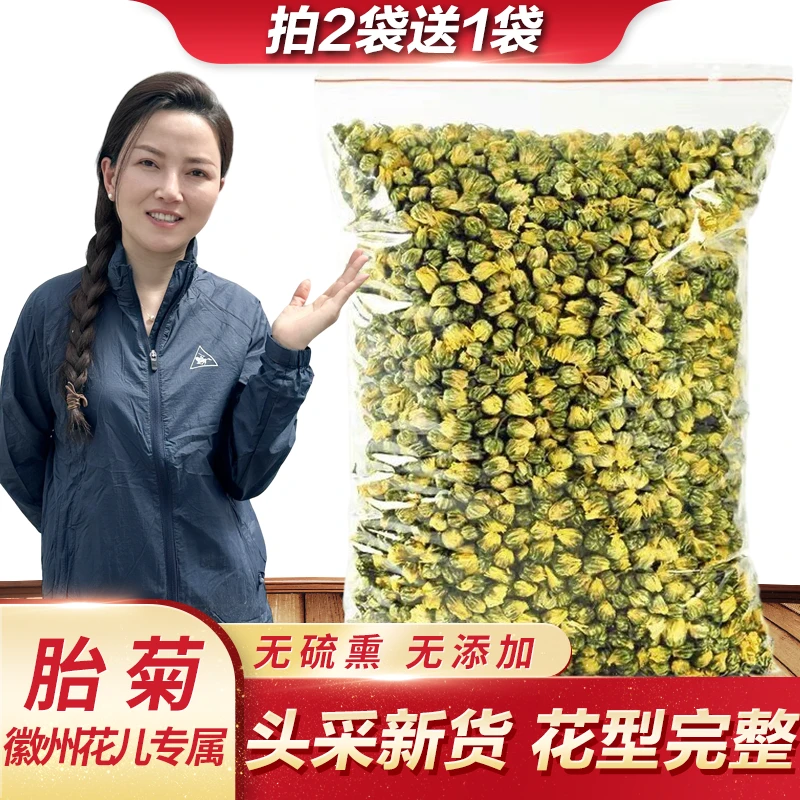 徽五弟胎菊桐乡胎菊王偷菜头采摘花茶菊花茶徽州花儿推荐