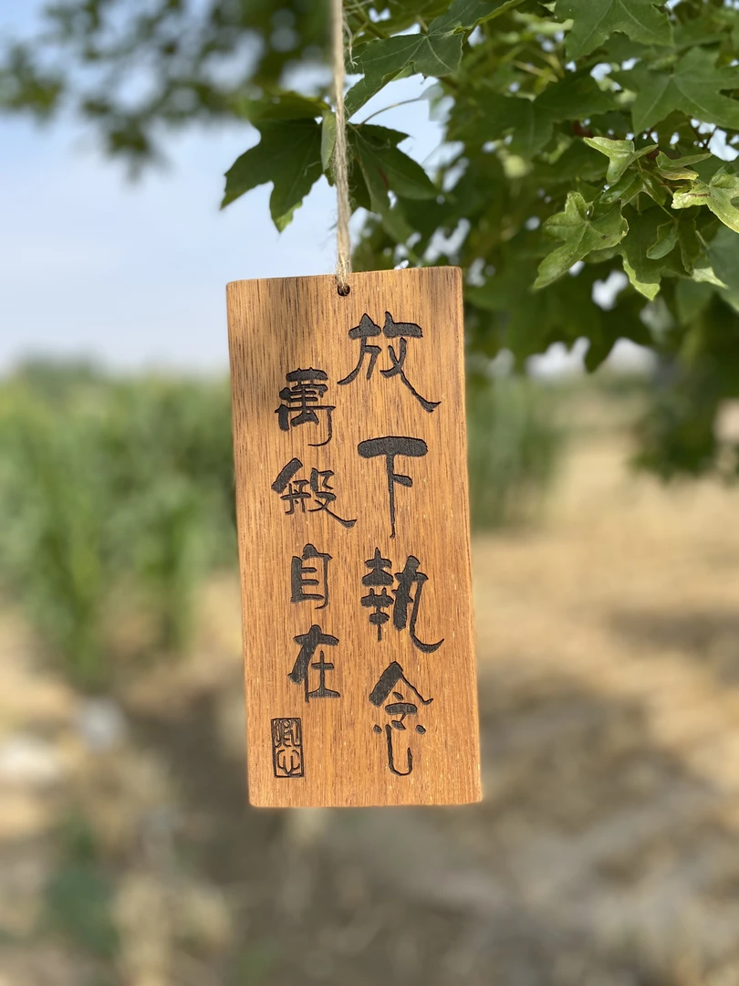 放下执念，万般自在！实木激光雕刻茶室书房阳台复古装饰小挂牌！