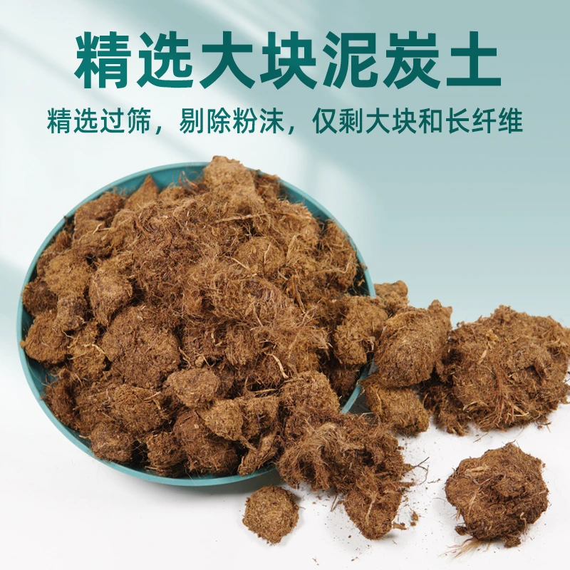 精选过筛大块泥炭土丹麦品氏泥炭土君子兰专用兰科专用吴掌柜园艺