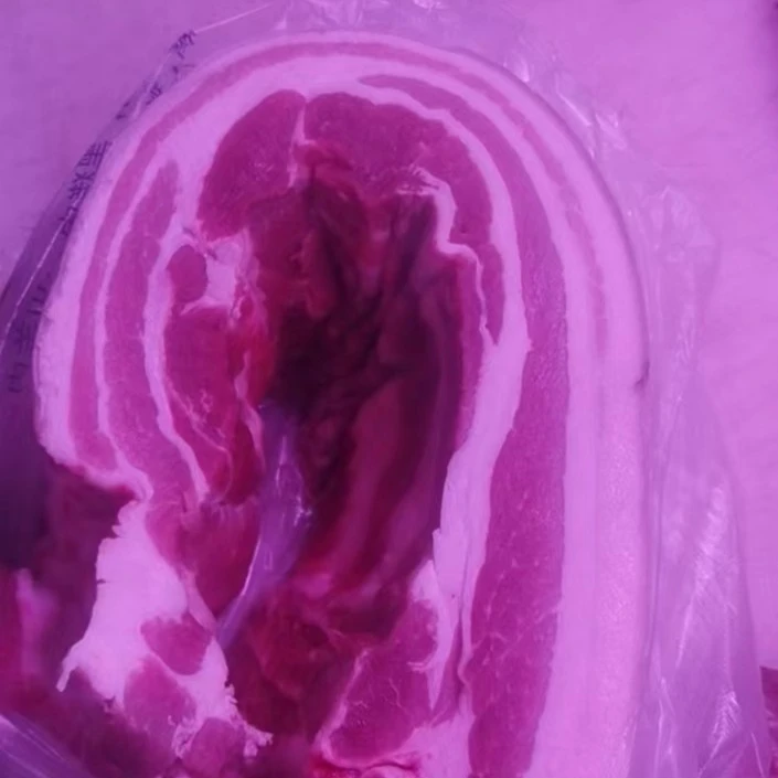 农家散养的粮食猪肋板500g