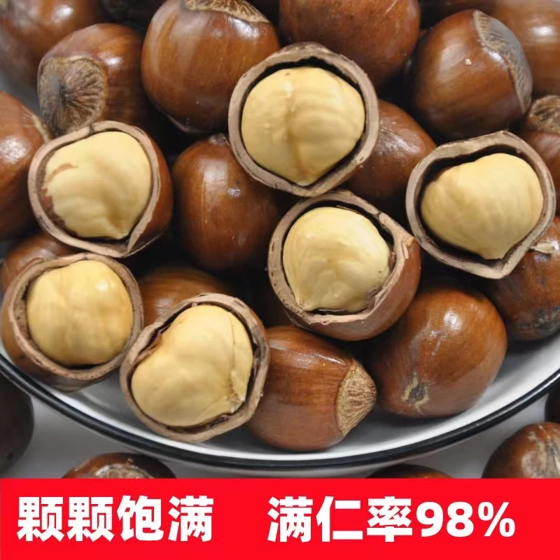 东北笨炒大榛子25年新货500g/2袋（共2斤），送夹子可试吃