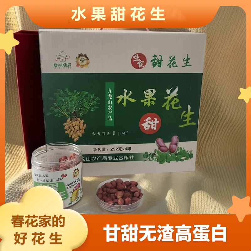 【礼盒装】水果花生青岛九龙山农场生态种植生食清脆可口甘甜无渣