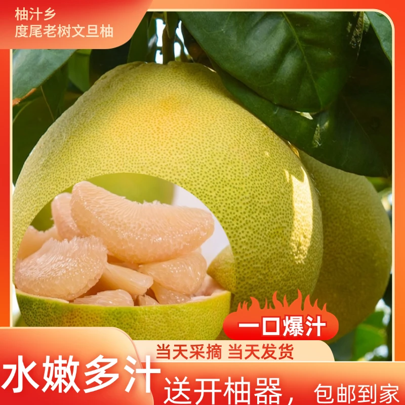 正宗福建度尾文旦柚当季新鲜孕妇时令水果红白心柚子酸甜多汁好剥