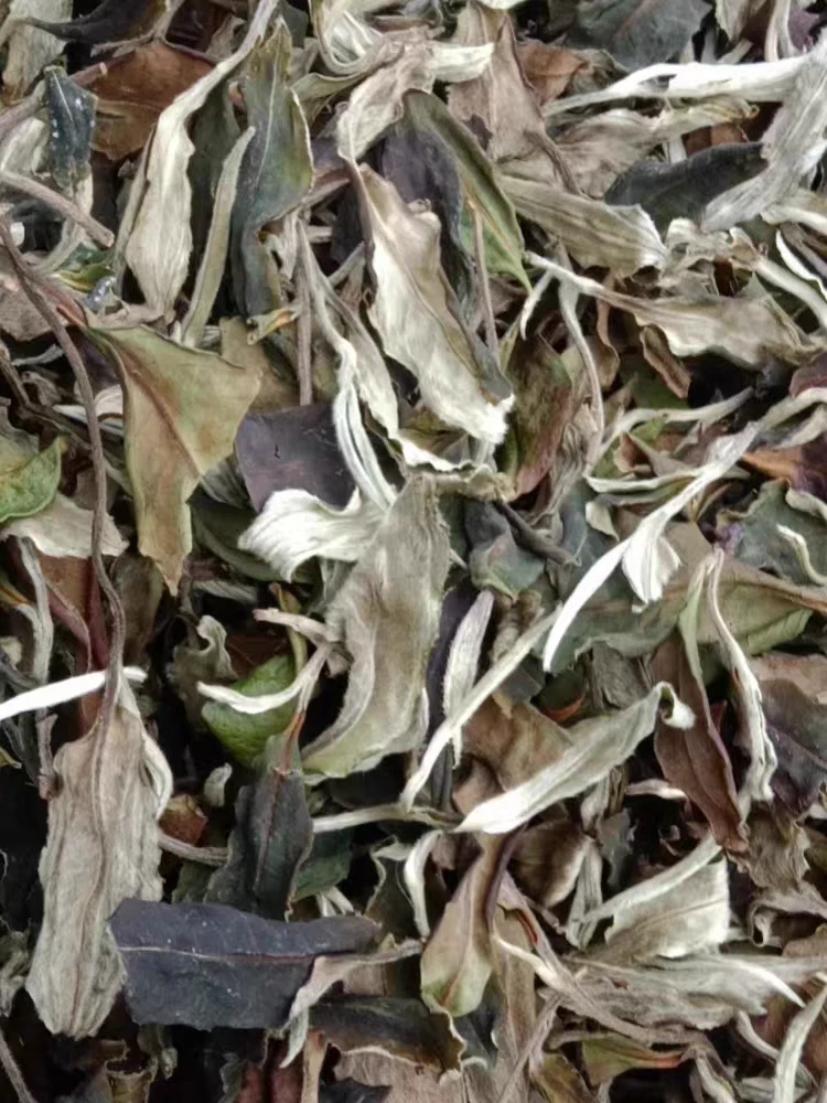 2024年春，干香幽甜（老品种白茶散茶）