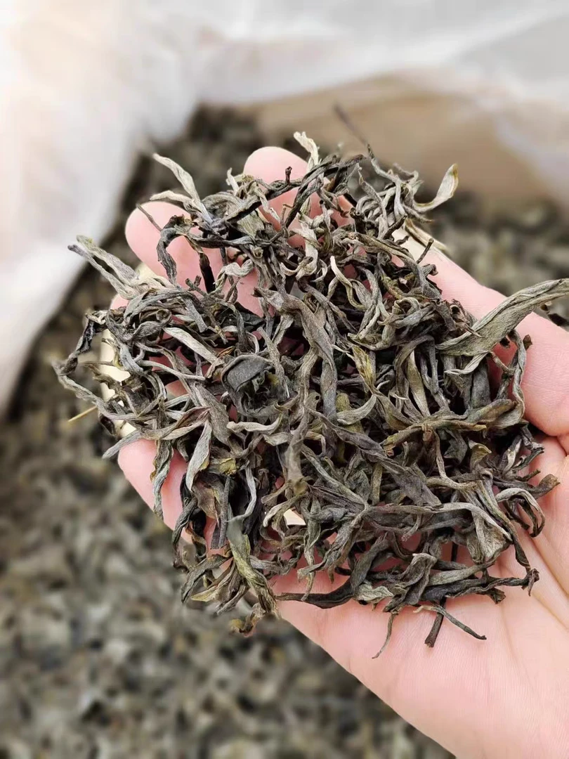 2024年 （下磨烈绿水塘单株生茶散茶） 偏甜 第一颗