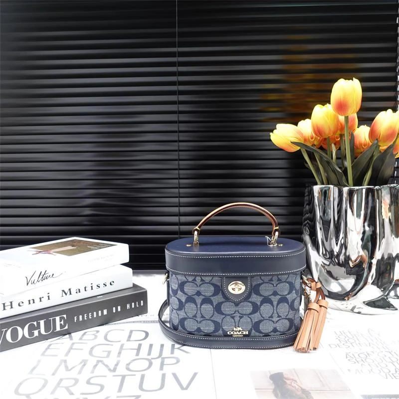 95新 COACH/蔻驰 单肩包/T_ZY0000409969