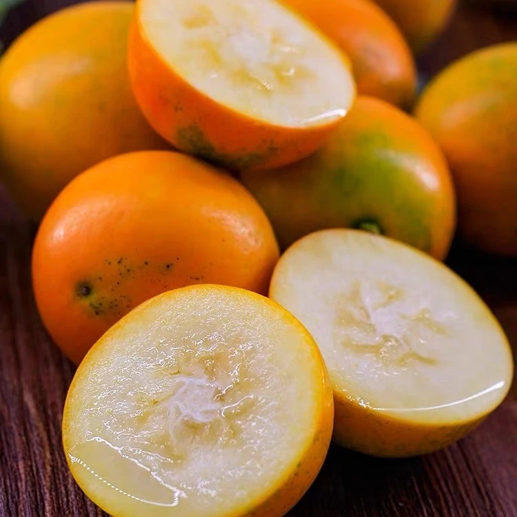 正宗融安脆蜜金柑