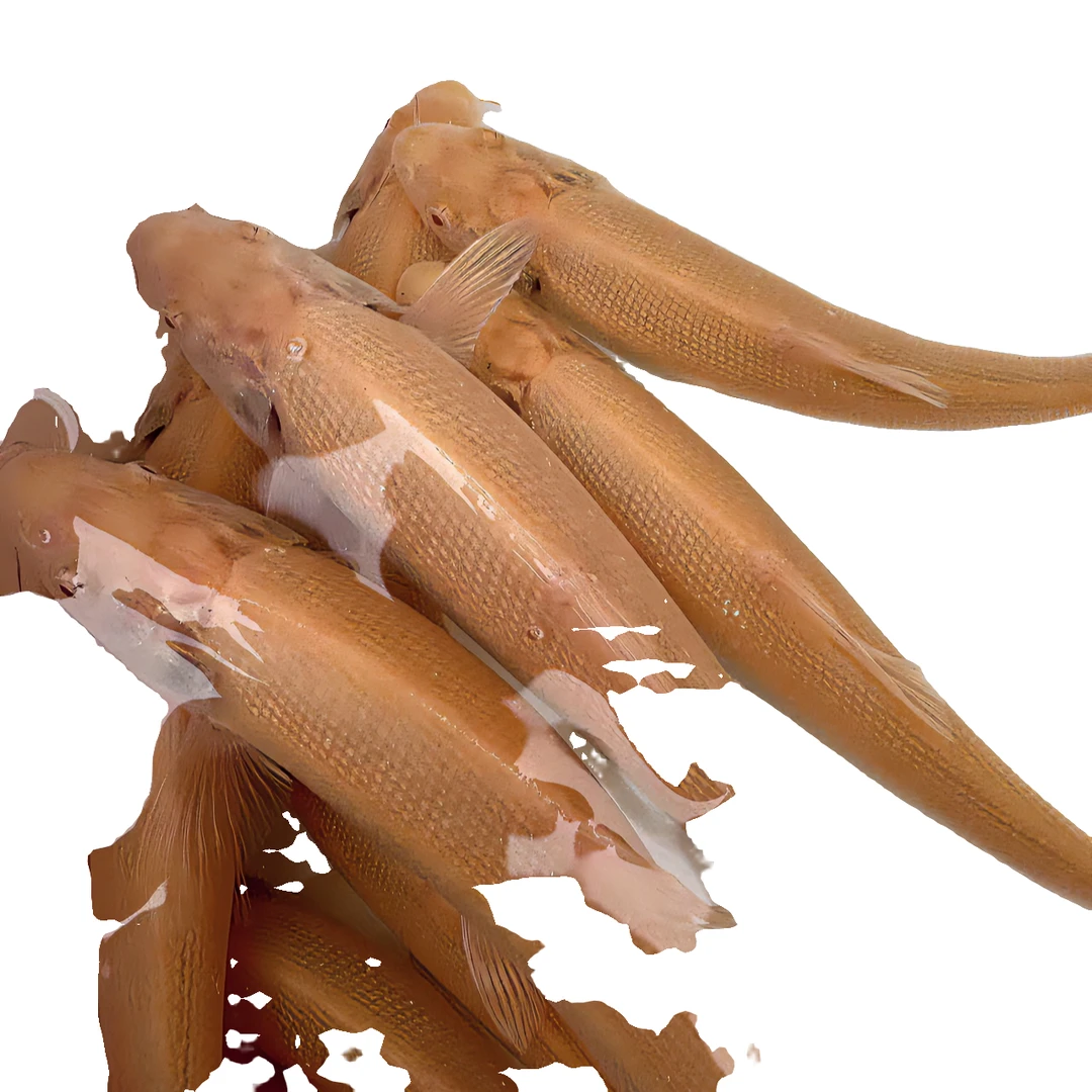 源头渔场塘口首发观赏淡水红鳕鱼生长快、抗病强、产量高、耐活好养