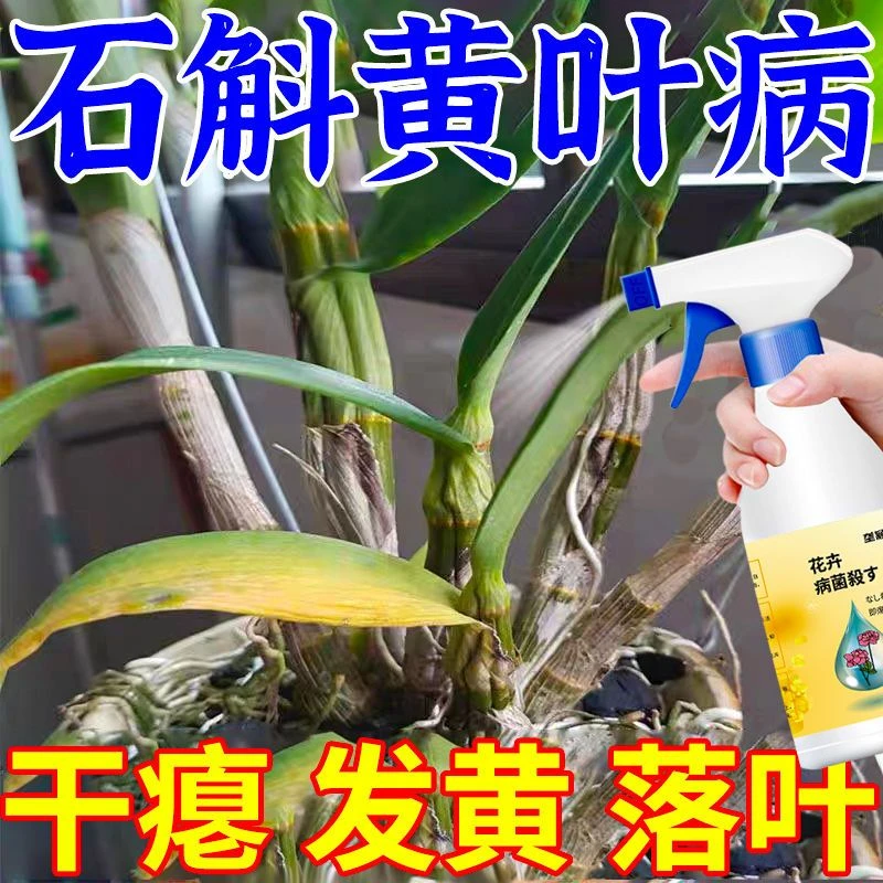 石斛专用营养液石斛全液体肥料烂根黄叶软腐枯叶通用型免稀释