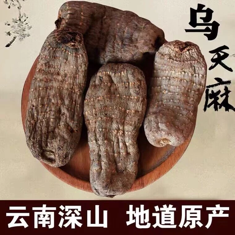 【山货】现收云南正宗【乌天麻】 山上长的好货农家采挖可搭配西洋参