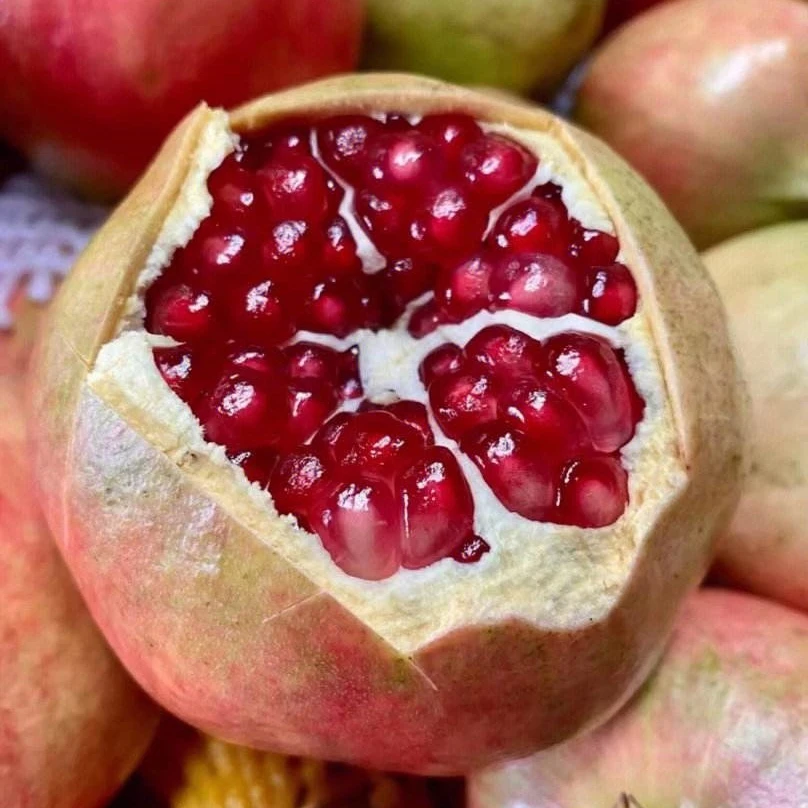 四川会理软籽石榴5斤装新鲜采摘爆甜多汁当季水果高山软籽石榴