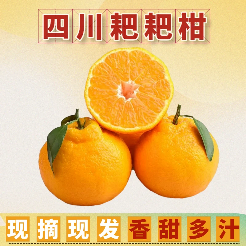 【耙耙柑】正宗新鲜四川春见耙耙柑丑八怪橘子丑橘粑粑柑桔子柑橘甜