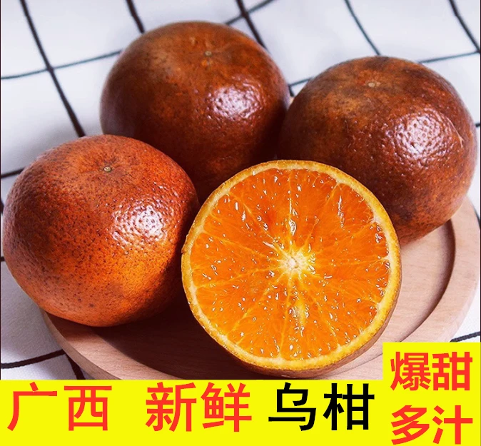广西乌柑 黑果花皮沃柑非洲乌柑健康原生态水果3/5/9斤新鲜采摘发
