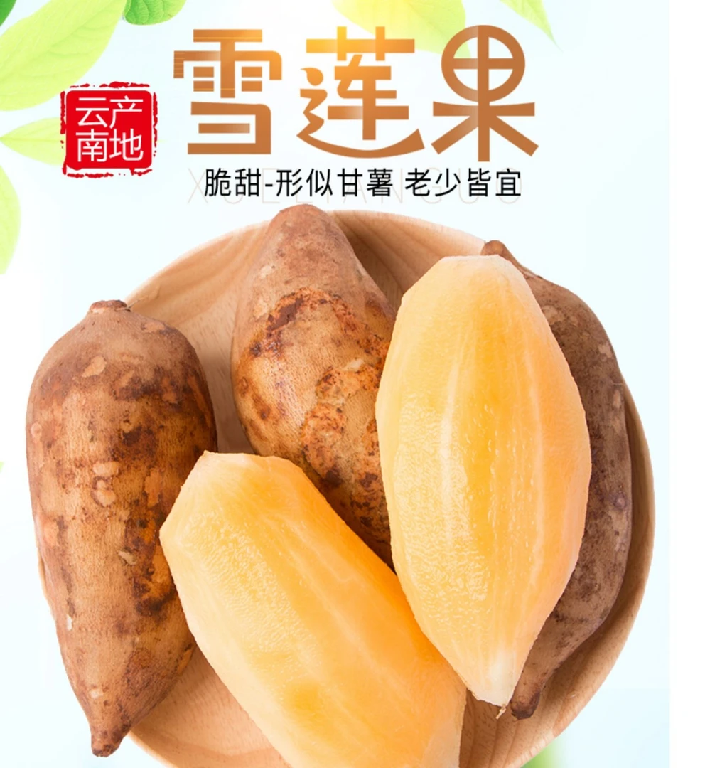 云南天山雪莲果黄心形似红薯味似水梨清甜多汁1-9斤新鲜特级水果