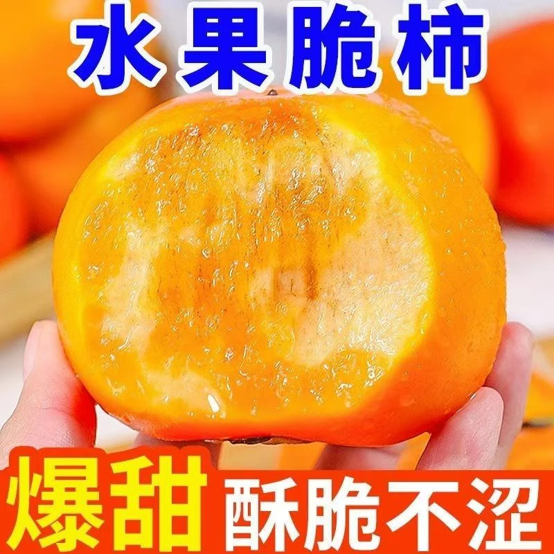桂林平乐高山脆柿子脆甜大果新鲜脆柿真空包装甜柿子直接吃