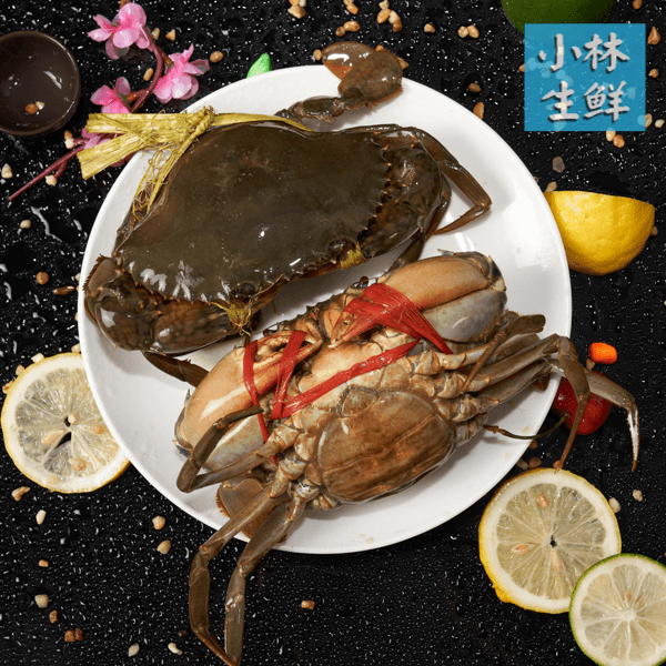 当天新鲜螃蟹鱼虾蟹