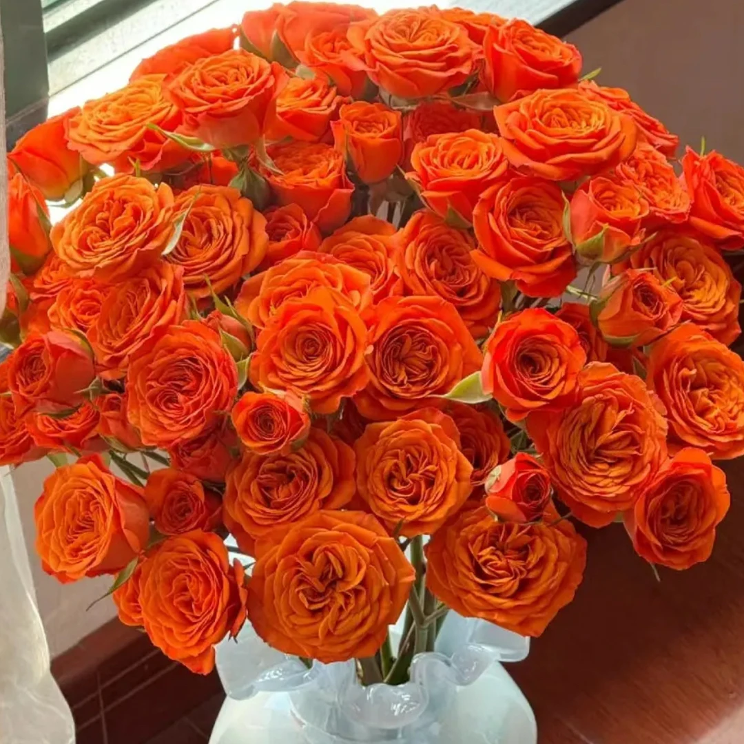 4单包邮多头泡泡玫瑰/云南鲜花具体