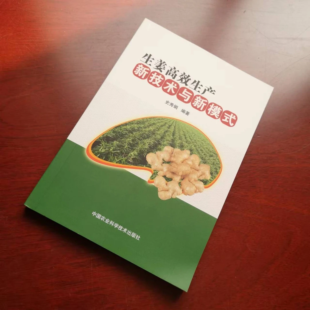 正版包邮生姜药材书籍高效种植生产新技术与新模式史秀娟