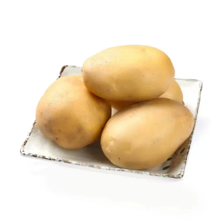 黄心土豆500g±20g土豆同城配