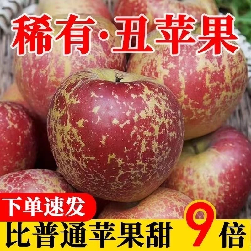 【现摘现发】2023新鲜脆甜冰糖心丑苹果当季苹果汁水多甜高