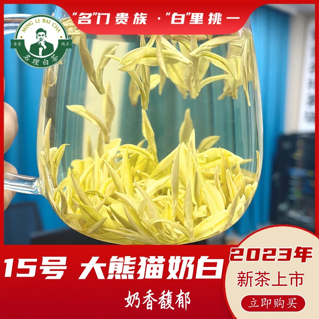 名理白【大促专用】15号大熊猫奶白黄金芽安吉原产地白茶开园头采