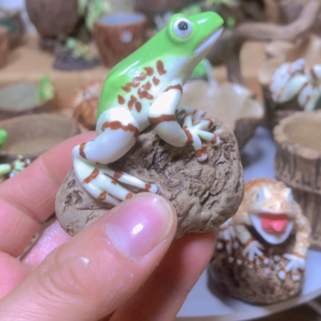 【闪购商品】陶瓷用****2