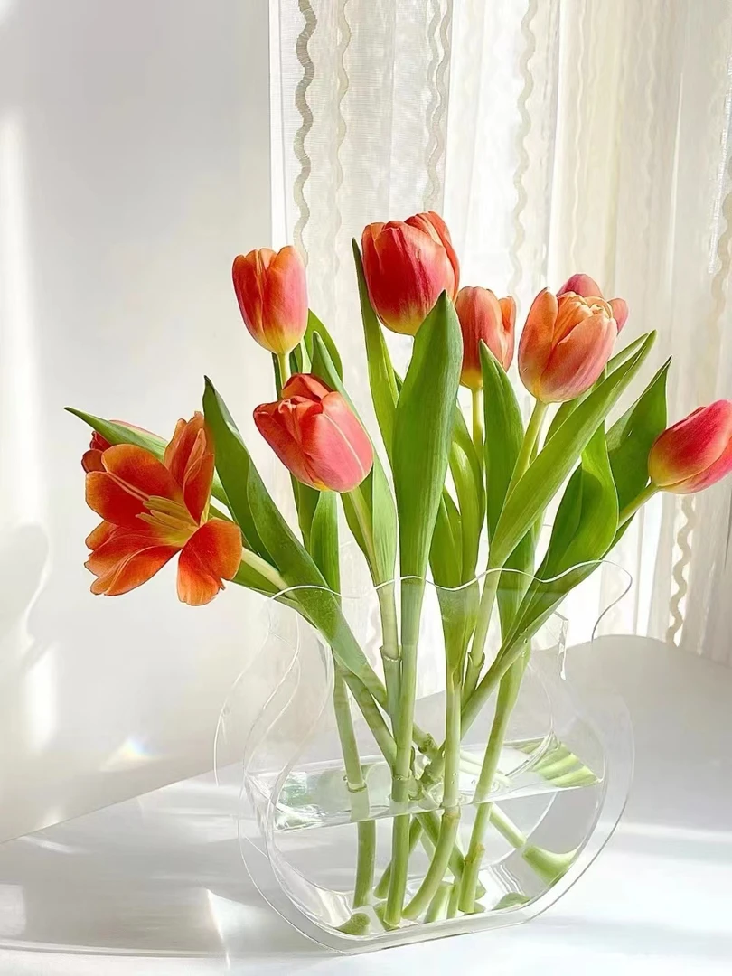 西柚郁金香一把（一把10支） 批发花店摆地摊直发一手货源