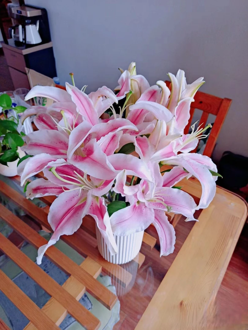 马龙百合二头5支鲜花批发花店摆地摊鲜花直发