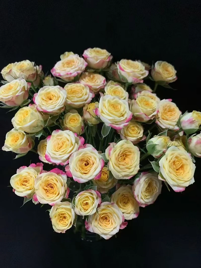 小头烟花泡泡10支  多头玫瑰   批发花店摆地摊直发一手货源