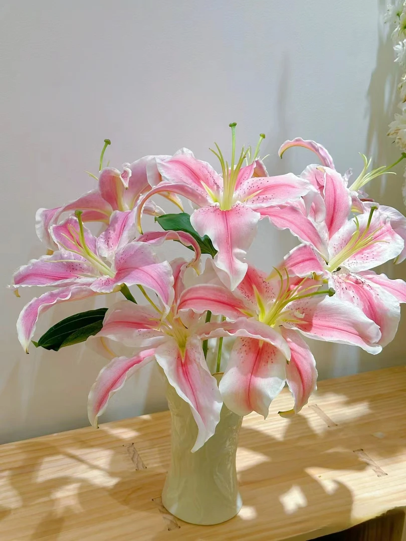 马龙百合 鲜花批发花店摆地摊鲜花直发 家养水养