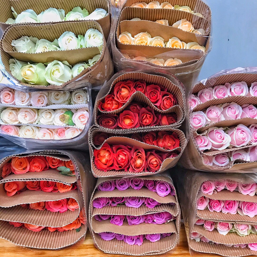 随机混色玫瑰10支      批发花店摆摊直发一手货源