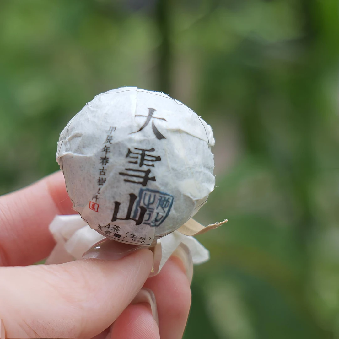 大雪山生普茶1泡试饮装 2024年新茶 古树纯料 冰糖雪梨香 8克/泡