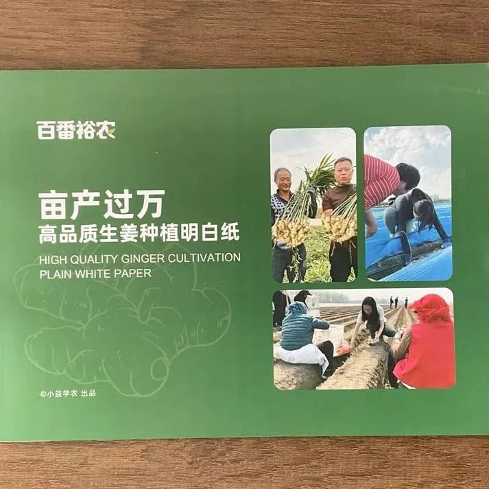 小益生姜种植明白纸（修订版）：生姜全程技术病害管理一本通