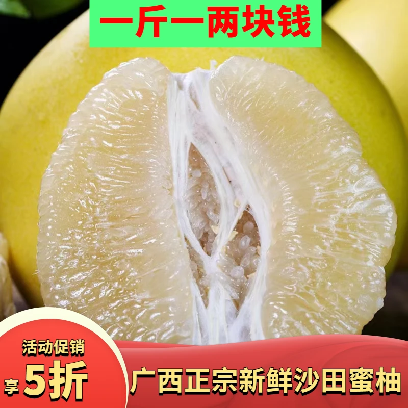 正宗广西容县产地自销新长寿沙田柚白肉蜜柚子应季水果薄皮多汁