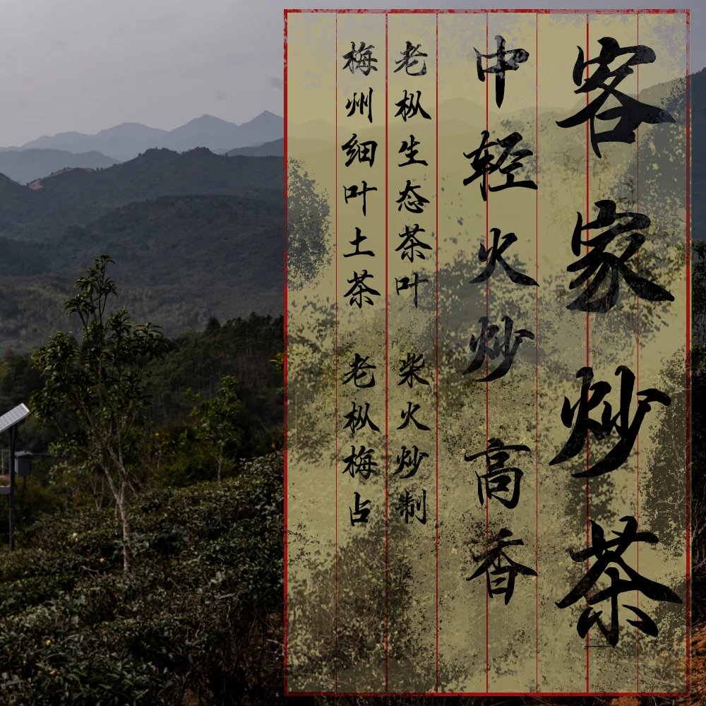 客家香型炒茶|梅占 水仙 单丛|传统柴火炒茶|梅子花香|蛋蛋的茶