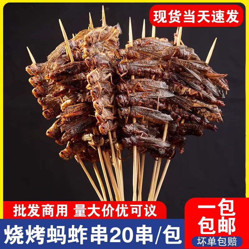 新鲜油炸蝗虫串蚂蚱烧烤串网红青豆虫串串一包20串2包起包邮