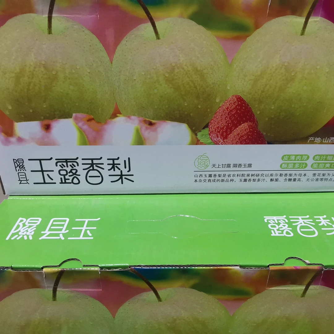 【同城闪送】玉露香水梨毛重5斤左右/箱