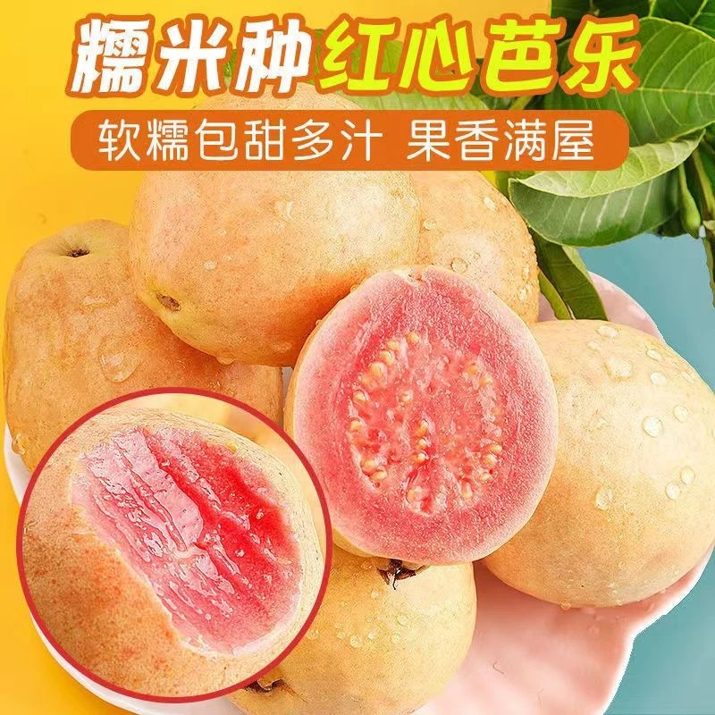 超高维C新鲜广东红心冰淇淋软糯芭乐