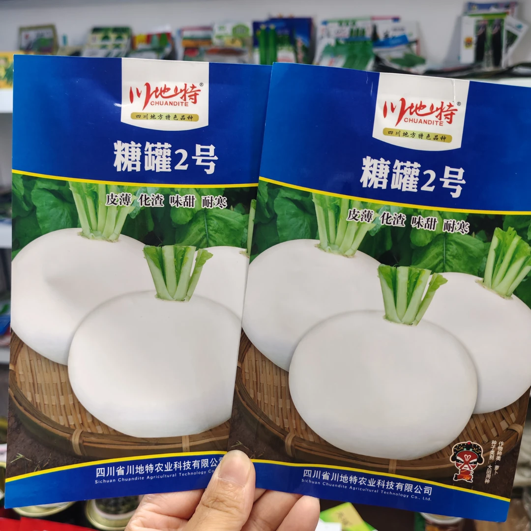 清香无斑油麦菜种子甜脆清香无斑四季播农家大田阳台盆栽蔬菜种籽