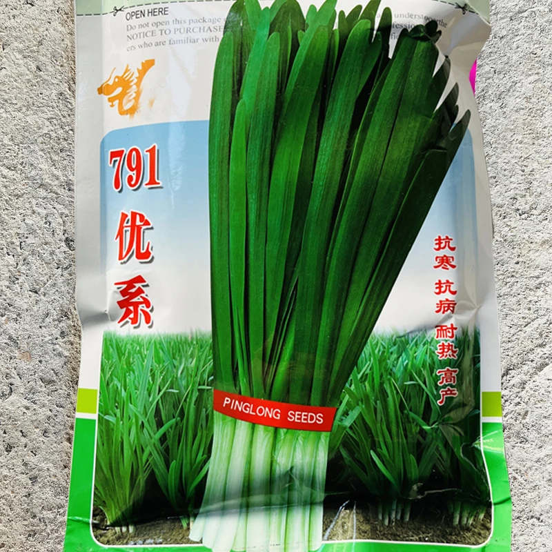 宽叶韭菜种子河南韭菜中科一号耐寒高产基地大棚播种蔬菜种子包邮