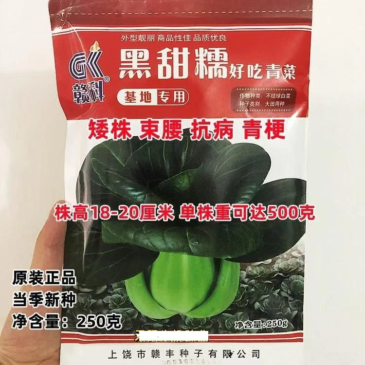 赣科黑甜糯好吃青菜种子黑叶矮棵脚青梗菜种籽束腰高产秋冬季播种