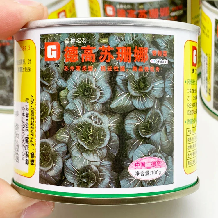 德高苏珊娜黑叶矮脚苏州青种籽高产耐寒矮箕油亮黑菜种子100克