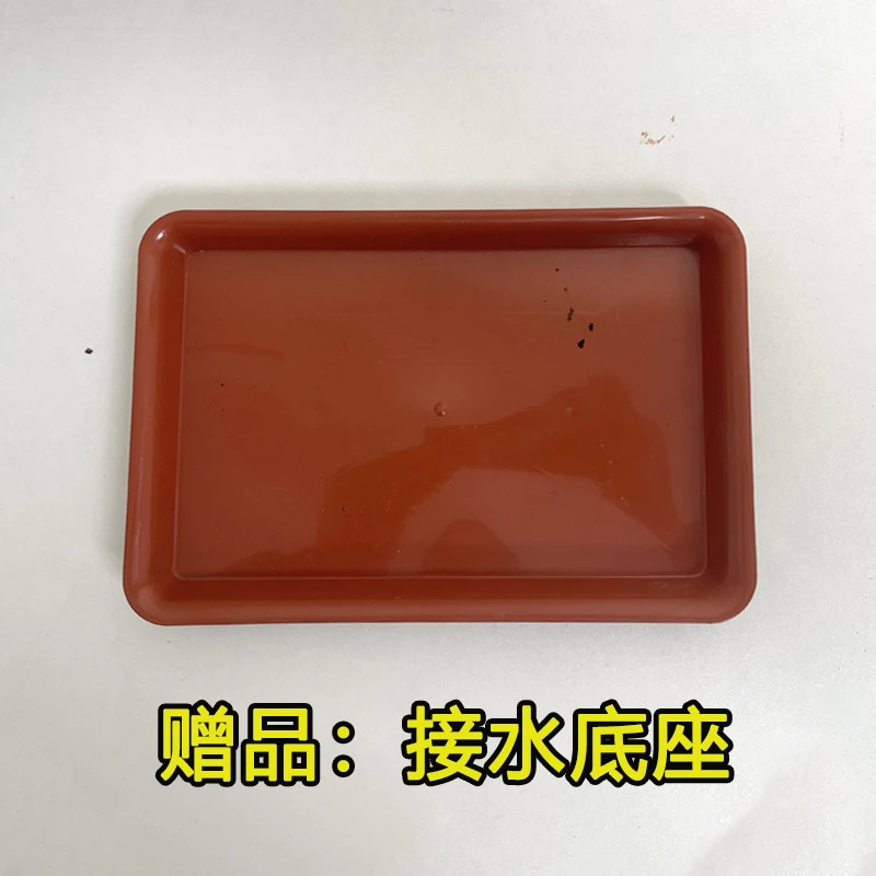 花卉绿植盆栽接水底托