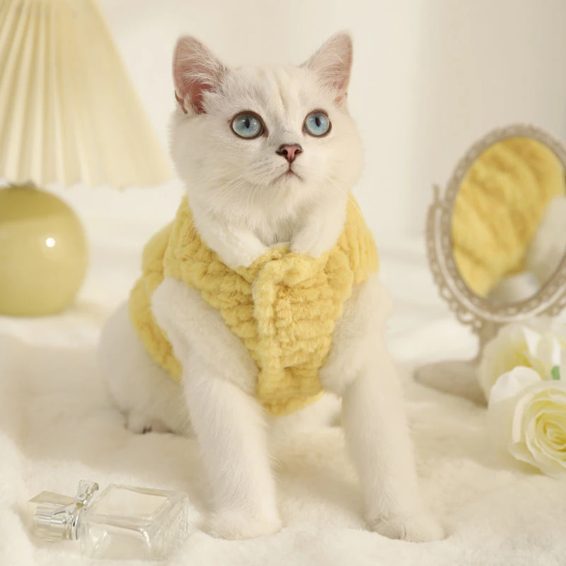 宠物猫咪棉衣马甲加绒保暖防掉毛秋冬季银渐层布偶猫幼猫两脚衣