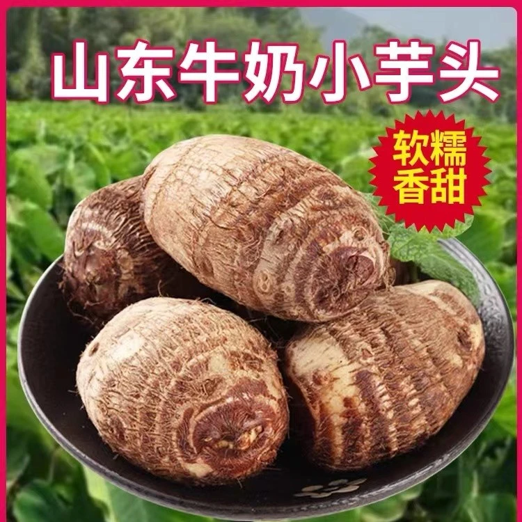 【专属】新品山东牛奶小芋头山东毛芋头蔬菜新鲜现挖软糯当季新鲜
