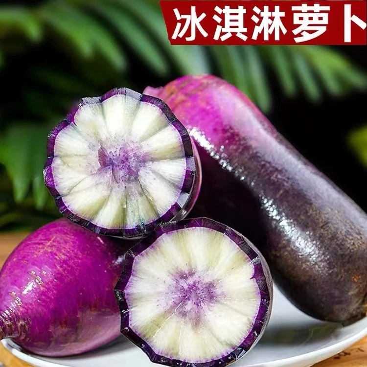 【新品】山东省供销社基地直供冰淇淋萝卜绿色富硒甜脆水果净重5斤