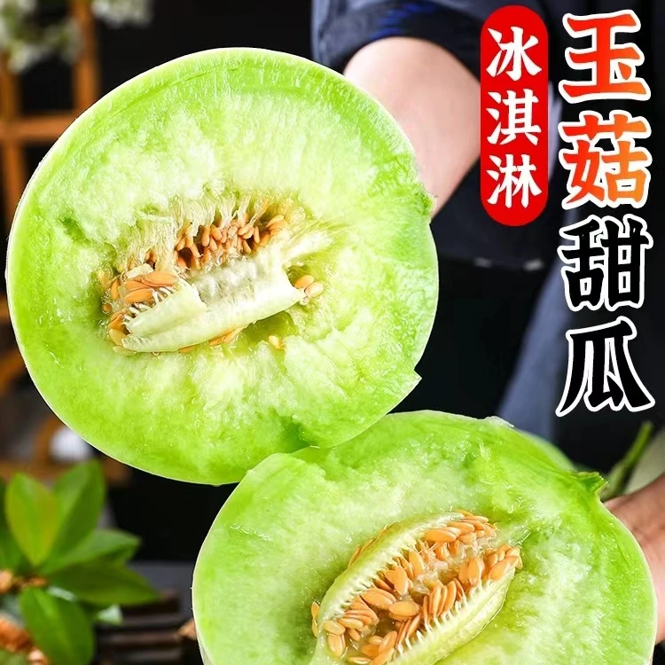 现摘现发新品山东冰激凌玉菇甜瓜产地直发新品产地水果甜爽4.5斤