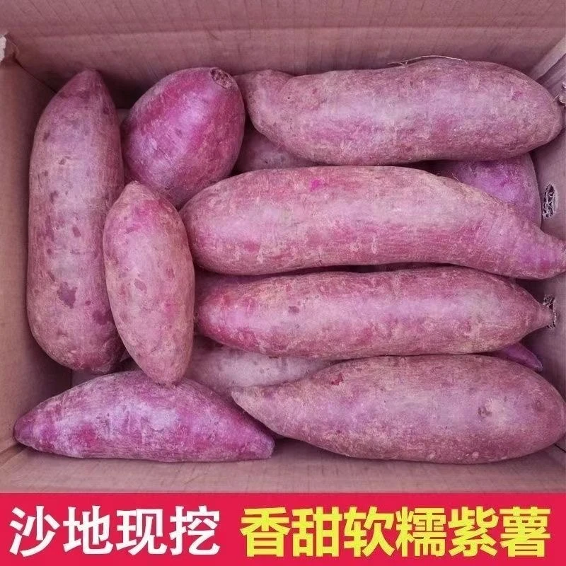 【今日五折】减脂代餐新鲜紫罗兰紫薯1/5/9斤蜜紫薯红薯蜜薯沙地