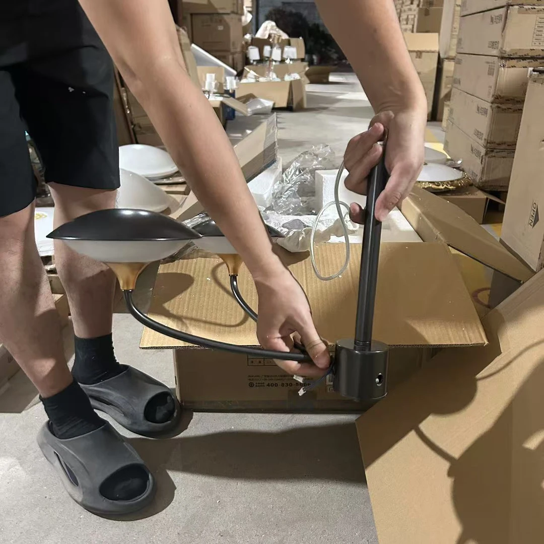 CHFE830002-6A#蝶飞吊灯6头（不含灯泡不包安装）库存尾货（铁1）