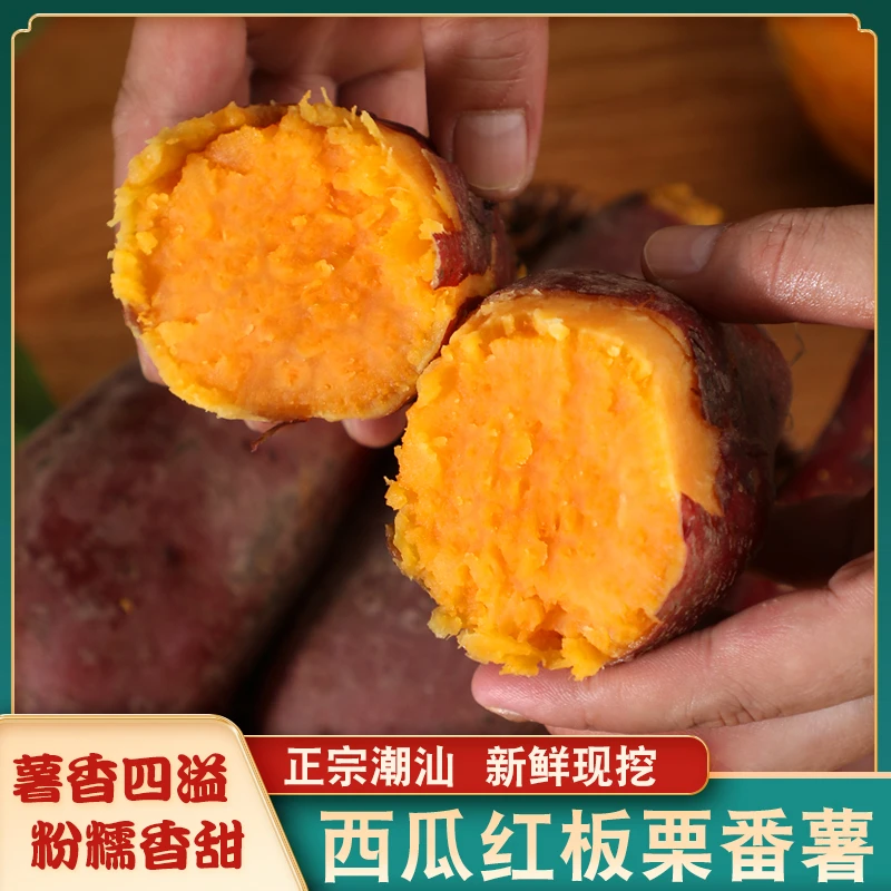 广东潮汕沙地西瓜红番薯新鲜香甜红薯红心农家现挖板栗薯地瓜食用